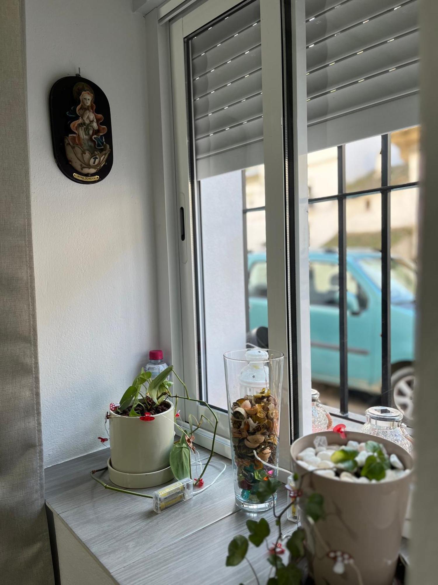 Casa Cueva Homestay